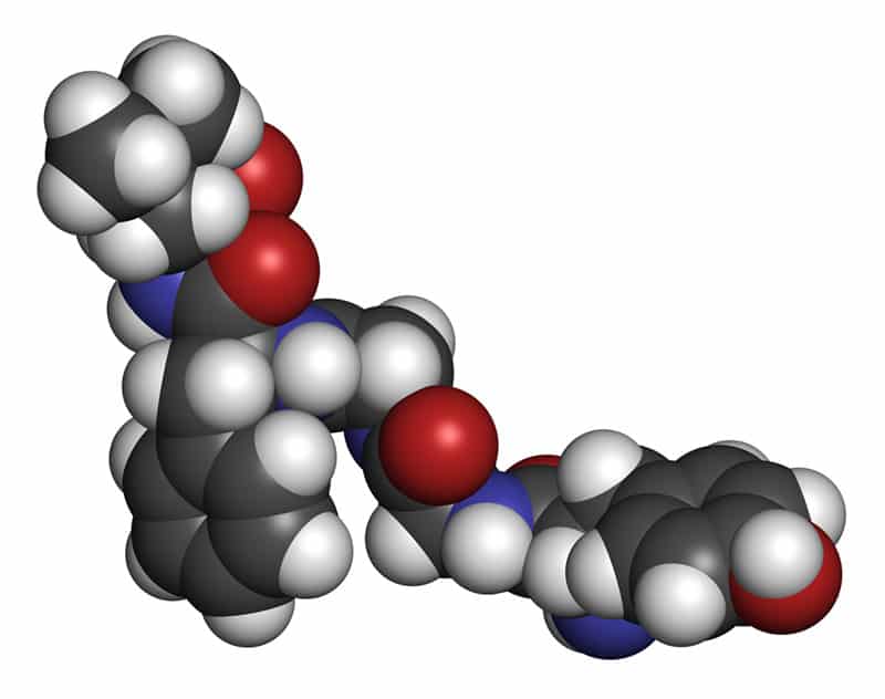 endogenous opioid peptide molecule