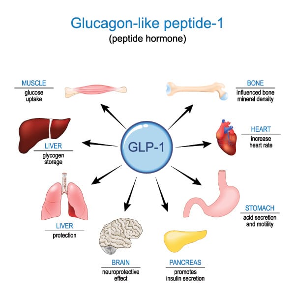 GLP Chart