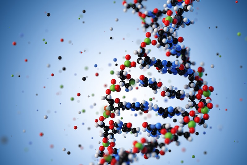 Molecular structure of DNA